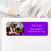 エレガントイタリアンGreyhound差出人住所ラベル ラベル (インサイチュ)