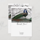エレガントウェディングサンキューカード サンキューカード (正面/裏面)