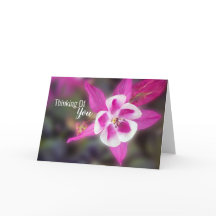 エレガントオダマキ（植物）ピ考えックズオブユー