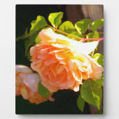 エレガントオレンジイエローピーチ花模様バラ フォトプラーク (正面)