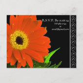 エレガントガーベラデイジー結婚式招待状 インビテーションポストカード (裏面)