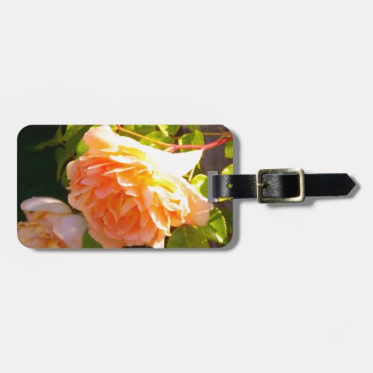 エレガントクラシックオレンジ桃バラフローラ ラゲッジタグ (正面横)