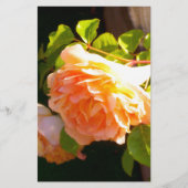 エレガントクラシックオレンジ桃バラフローラ 便箋 (正面)