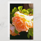 エレガントクラシックオレンジ桃バラフローラ 便箋 (正面/裏面)