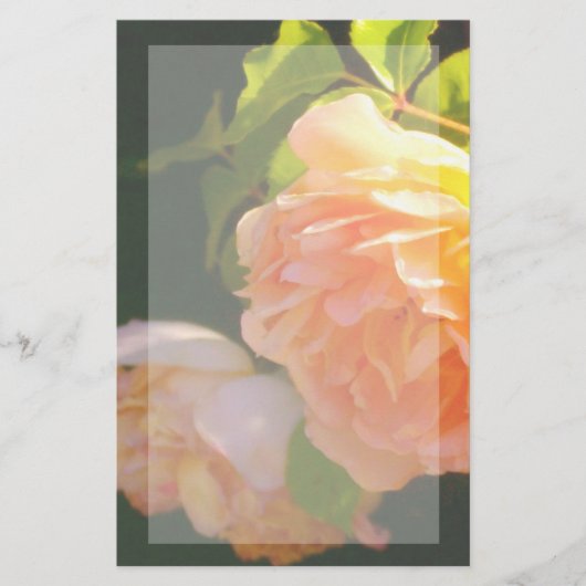 エレガントクラシックオレンジ桃バラフローラ 便箋 (正面)
