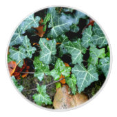 エレガントクラシックグリーンアイビーとフィールドストーン セラミックノブ (正面)