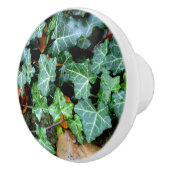 エレガントクラシックグリーンアイビーとフィールドストーン セラミックノブ (右)