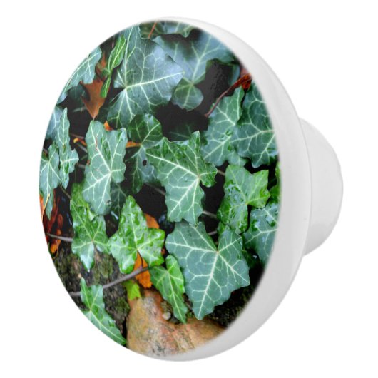 エレガントクラシックグリーンアイビーとフィールドストーン セラミックノブ (右)