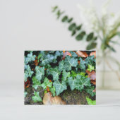 エレガントクラシックグリーンアイビーとフィールドストーン ポストカード (スタンド正面)