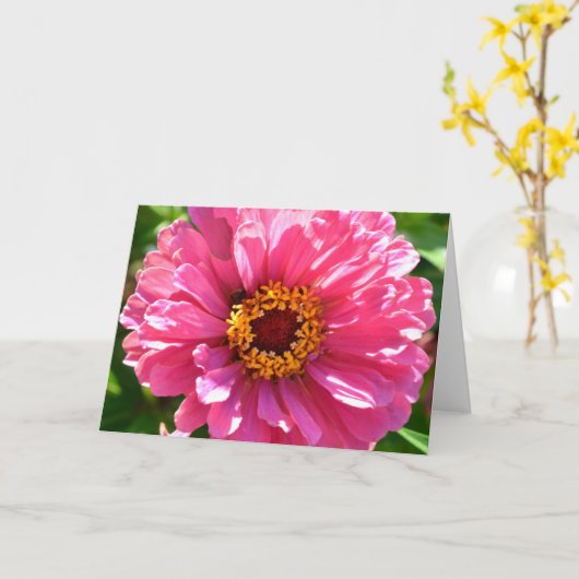 エレガントクラシックピンクフローラムームデイジー カード (黄色い花)