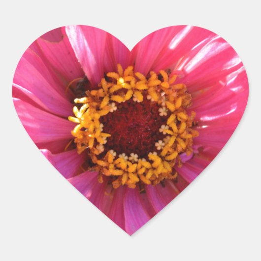 エレガントクラシックピンクフローラムームデイジー ハートシール (正面)