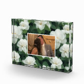 エレガントクラシック緑植物白フローラ フォトブロック (右)