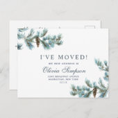 エレガントクリスマスのピンコーンの動き発表 ポストカード (正面/裏面)