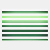 エレガントクリスマスグリーンとホワイトパターン ラッピングペーパーシート (正面3)