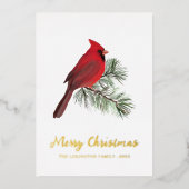 エレガントクリスマス赤(鳥)ショウジョウコウカンチョウバードモノグラム 箔シーズンカード (正面)