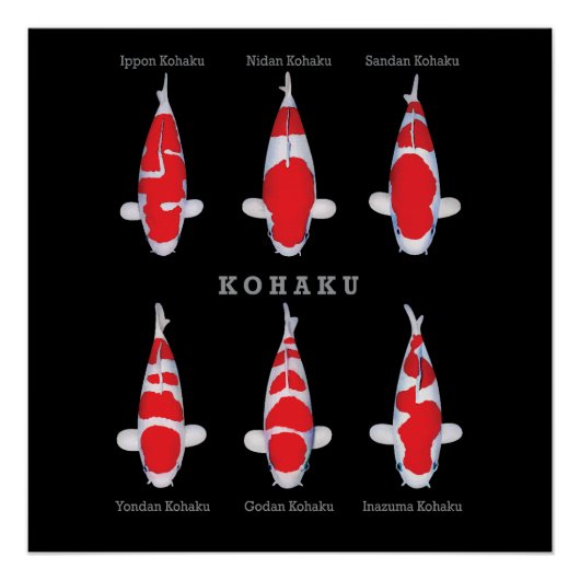 エレガントコイフィッシュのポスター – タイムレス&デコ芸術的 ポスター (正面)