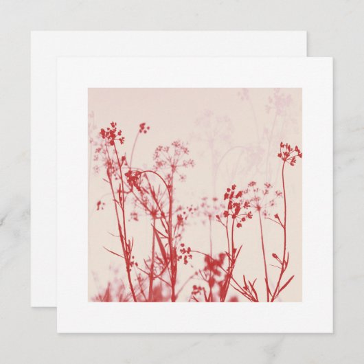 エレガントサンゴ最高の赤の結婚願 (正面/裏面)