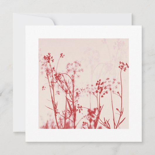 エレガントサンゴ最高の赤の結婚願 (正面)