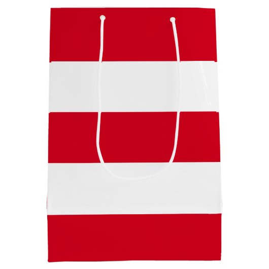 エレガントシンプル赤ストライプ白 ミディアムペーパーバッグ (裏面)
