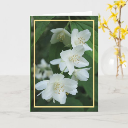 エレガントジャスミンフモダンラワーズフォトゴールデンフレーム カード (黄色い花)