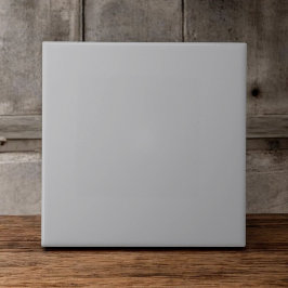 エレガントダークグレーシッシュブルーモダン&ミニマリスト タイル