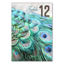 エレガントティール（緑がかった色）鮮やかピーコックフェザー結婚ズテーブル