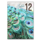 エレガントティール(緑がかった色)鮮やかピーコックフェザー結婚ズテーブル テーブルナンバー (裏面)