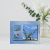 エレガントハニーサックルはがき ポストカード (スタンド正面)