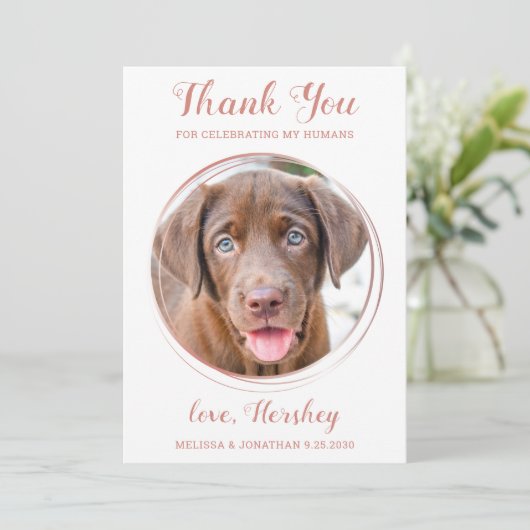 エレガントバラカスタム金ゴールドペットフォトドッグ結婚ズ サンキューカード (スタンド正面)