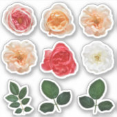 エレガントバラガーデンキスカットビニールシールシート シール (正面)