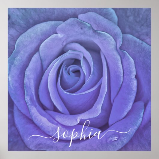 エレガントバラフラワーフォト名の追加 ポスター (正面)