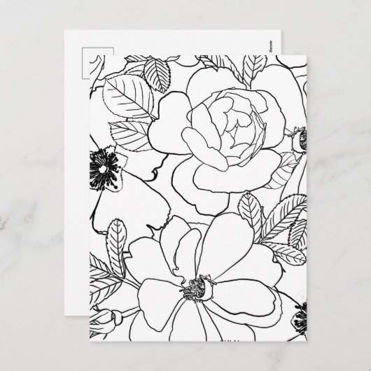 エレガントバラフローラ線スケッチデザイン シーズンポストカード (正面/裏面)