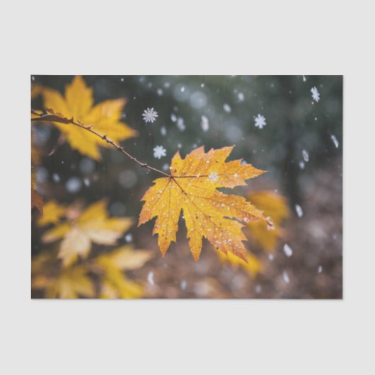 「エレガントパターン（の模様が）あるティッシュペーパー」 薄葉紙 (正面)