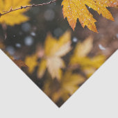 「エレガントパターン（の模様が）あるティッシュペーパー」 薄葉紙 (詳細)