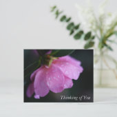 エレガントピンクのバラが露の近く考えるに シーズンポストカード (スタンド正面)