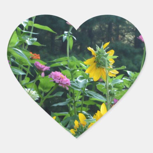 エレガントフローラガーデンひまわり《植物》百日草梅 ハートシール (正面)