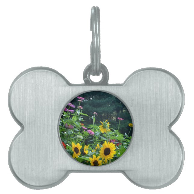 エレガントフローラガーデンひまわり《植物》百日草梅 ペットネームタグ (正面)