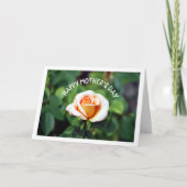 エレガントフローラバラ カード (正面)