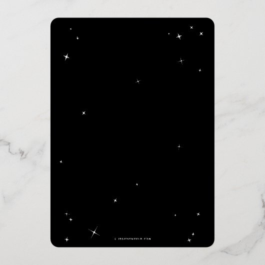 エレガントブラックスパイダーウェブハローウィンパーティ 箔招待状 (裏面)