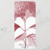 エレガントブルゴーニュ結婚アジサイ メニュー (裏面)