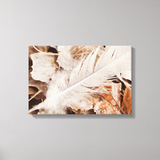 エレガントホワイトフェザーオンゴールデン落ちた離れズ キャンバスプリント (正面)