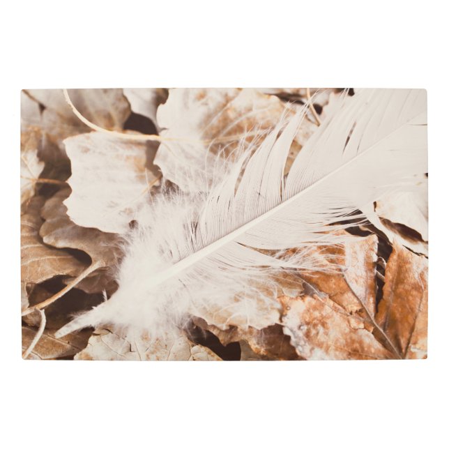 エレガントホワイトフェザーオンゴールデン落ちた離れズ メタルプリント (正面)
