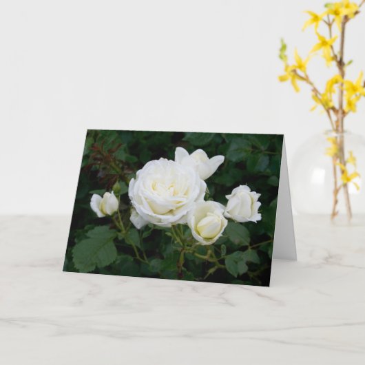 エレガントホワイトロモダンーゼスフラワーズフォト悔やみや弔慰 カード (黄色い花)