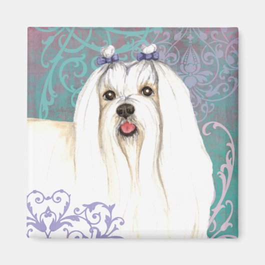 エレガントマルチーズ マグネット (正面)