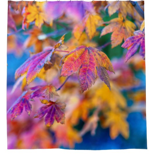 エレガントメ日本のデ葉ス シャワーカーテン (正面)