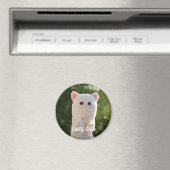 エレガントモダンシンプルパーソナライズされた写真 マグネット (インサイチュ (食洗機))