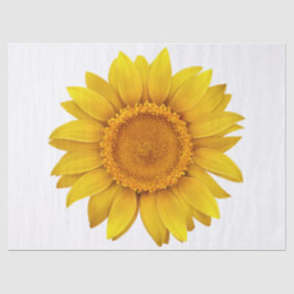 エレガントモダンフローラ 薄葉紙