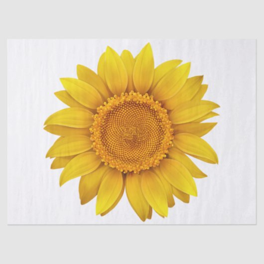 エレガントモダンフローラ 薄葉紙 (正面)