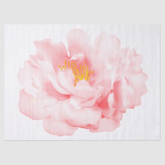 エレガントモダンフローラ 薄葉紙 (正面)