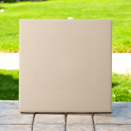 エレガントモノクロパテモダンアーストーン タイル